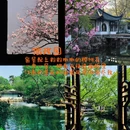 苏州旅游 缩略图 3