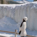 黄山旅游 缩略图 11