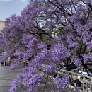 昆明旅游 缩略图 2