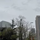 青岛旅游 缩略图 2