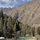 黄山旅游 缩略图 12