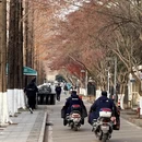 徐州旅游 缩略图 5