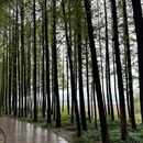 徐州旅游 缩略图 5