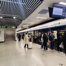 青岛旅游 缩略图 2