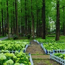 中山旅游 缩略图 12