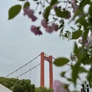 武汉旅游 缩略图 6