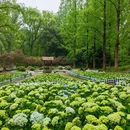 中山旅游 缩略图 4