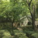 苏州旅游 缩略图 9