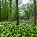 中山旅游 缩略图 2