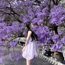 昆明旅游 缩略图 1