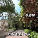 厦门旅游 缩略图 16