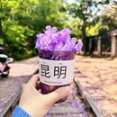 昆明旅游 缩略图 2