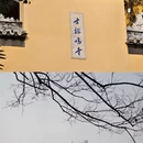 南京旅游 缩略图 6