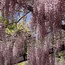 北京旅游 缩略图 9