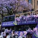 昆明旅游 缩略图 8
