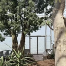 上海旅游 缩略图 17