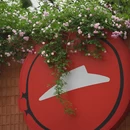 南京旅游 缩略图 15