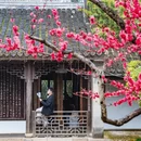 无锡旅游 缩略图 15