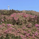 宁波旅游 缩略图 11