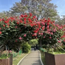 郑州旅游 缩略图 8