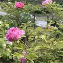 北京旅游 缩略图 7