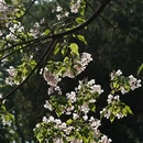 南京旅游 缩略图 14