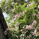 常州旅游 缩略图 15