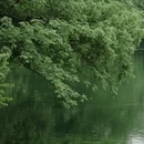 杭州旅游 缩略图 2