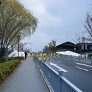 扬州旅游 缩略图 4