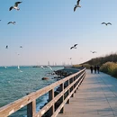 日照旅游 缩略图 5