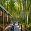 常州旅游 缩略图 3