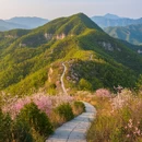 广元旅游 缩略图 9