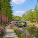 崇左旅游 缩略图 9