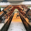 常州旅游 缩略图 6