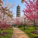 芜湖旅游 缩略图 8