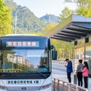 崇左旅游 缩略图 7