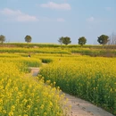 芜湖旅游 缩略图 10