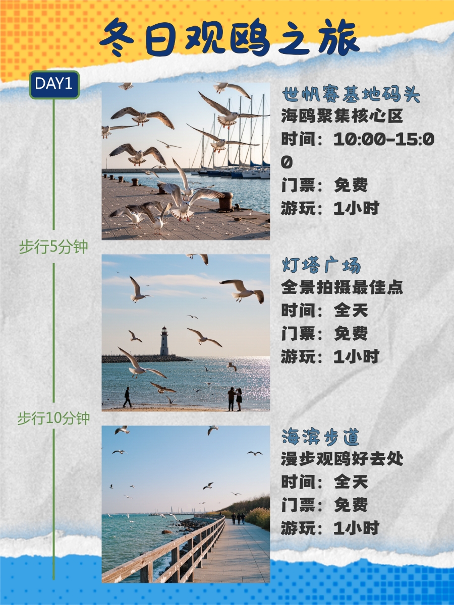 日照旅游
