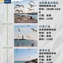 日照旅游 缩略图 1