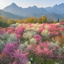 贵阳旅游 缩略图 8