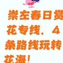 崇左旅游 缩略图 1