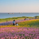 芜湖旅游 缩略图 9