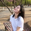 扬州旅游 缩略图 12