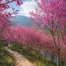 九江旅游 缩略图 5