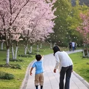 扬州旅游 缩略图 10