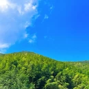 常州旅游 缩略图 2