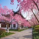 九江旅游 缩略图 7