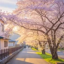 北京旅游 缩略图 2