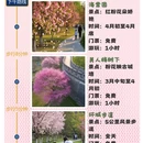 扬州旅游 缩略图 2