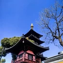 苏州旅游 缩略图 3